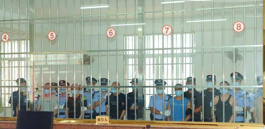 阳江一黑社会组织落网!"黑老大"获刑16年!_手机搜狐网