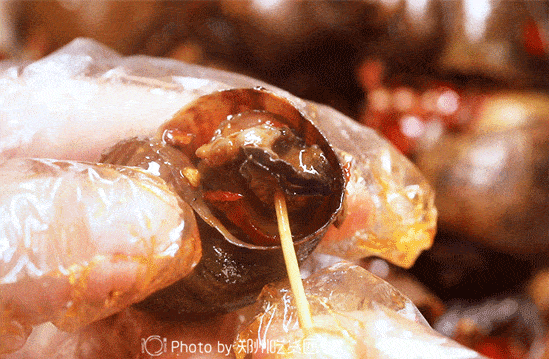 549_359gif 动态图 动图