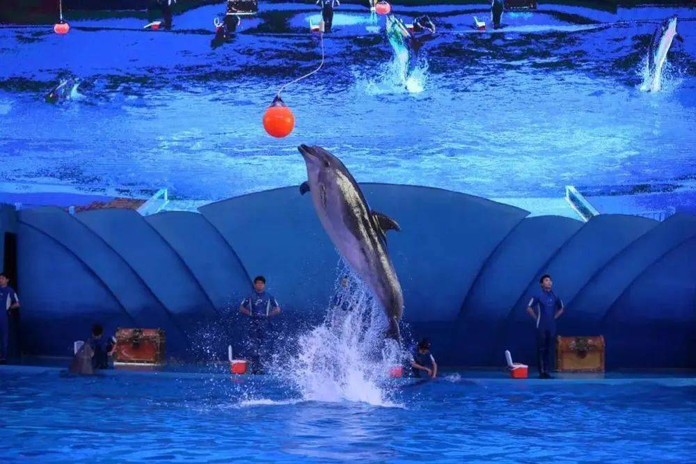 买一送一暑期周四专享横店梦幻谷水公园陆公园五大主题游乐区集强烈