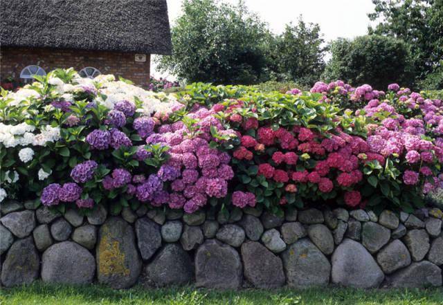 30种花园篱笆墙看你想要哪一种