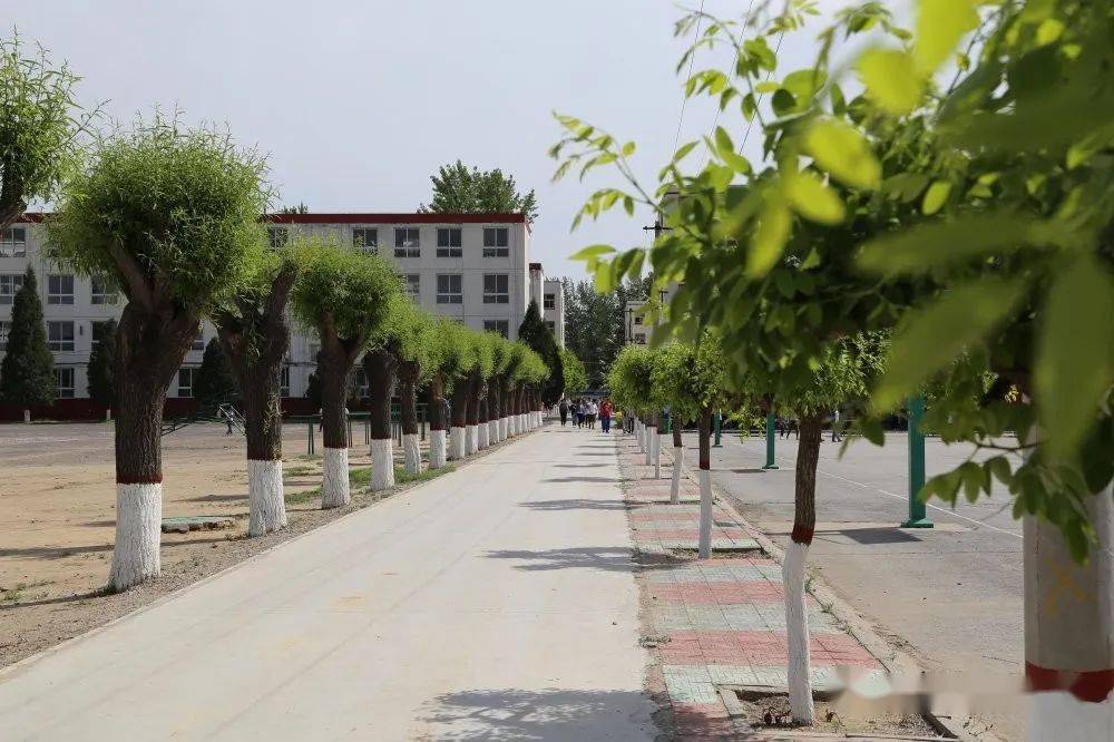 涿州市第三中学2020年高一招生简章