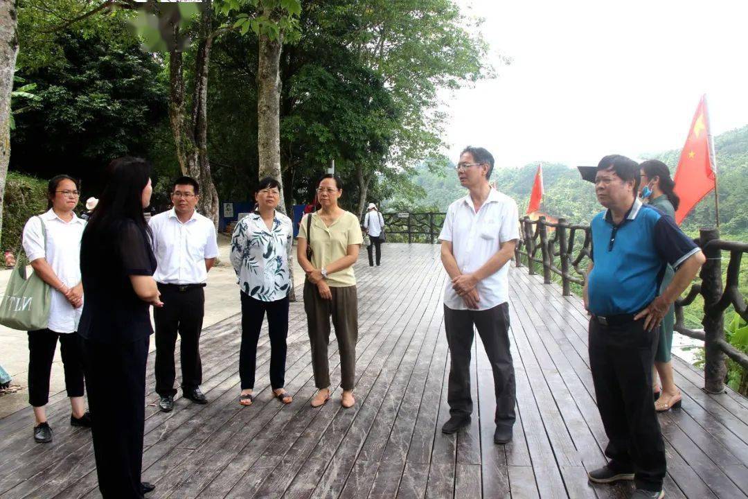 调研组实地调研广西中旅德天瀑布旅游开发有限公司