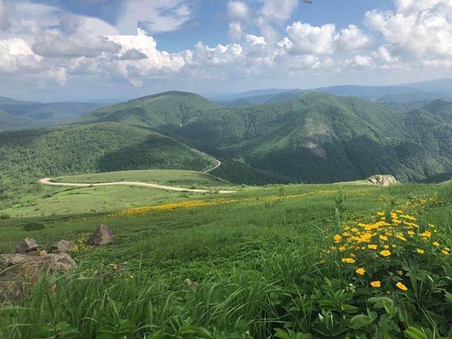 直播|2020長白山高山花園始盛開