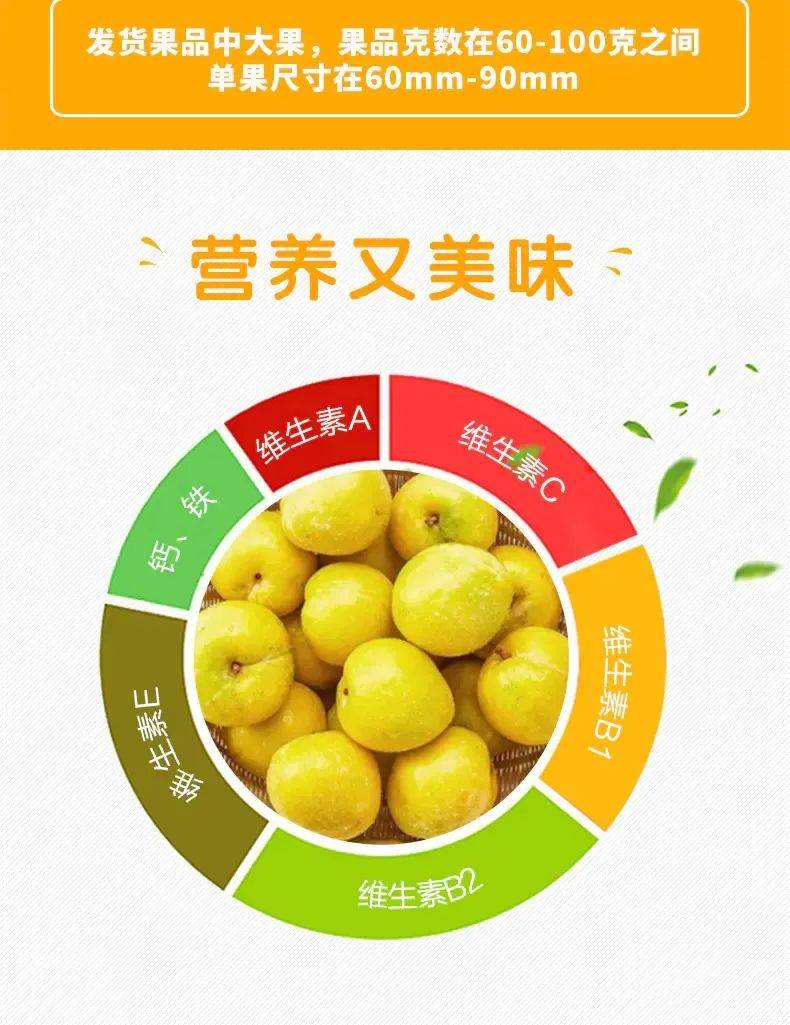 韶关黄金奈李即将上市啦,点进来钜惠购买!