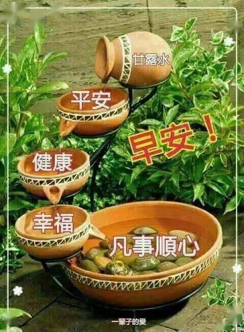 特别好看的清晨早上好问候语表情动态图片带字,暖心的早晨好问候祝福