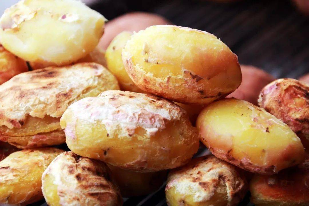 蹲点采访烧洋芋里有乾坤