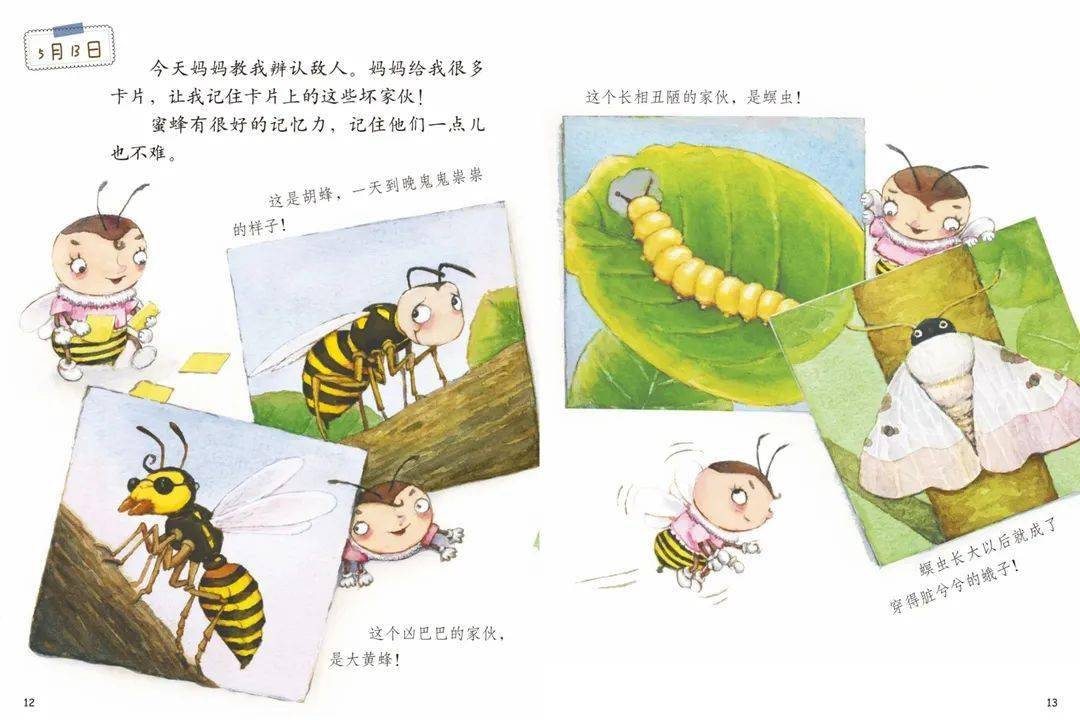 家庭亲子绘本阅读——《蜜蜂的日记》