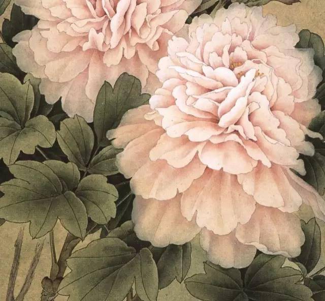 周中耀先生画牡丹美妙