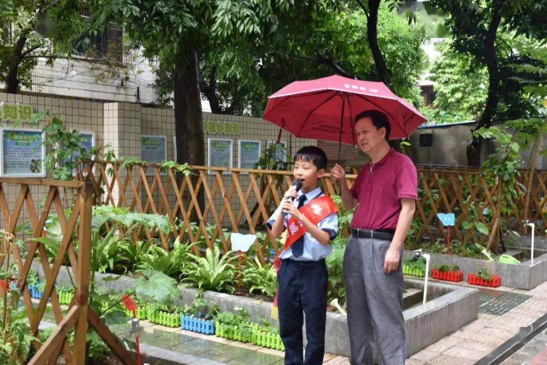 清远凤鸣小学图片