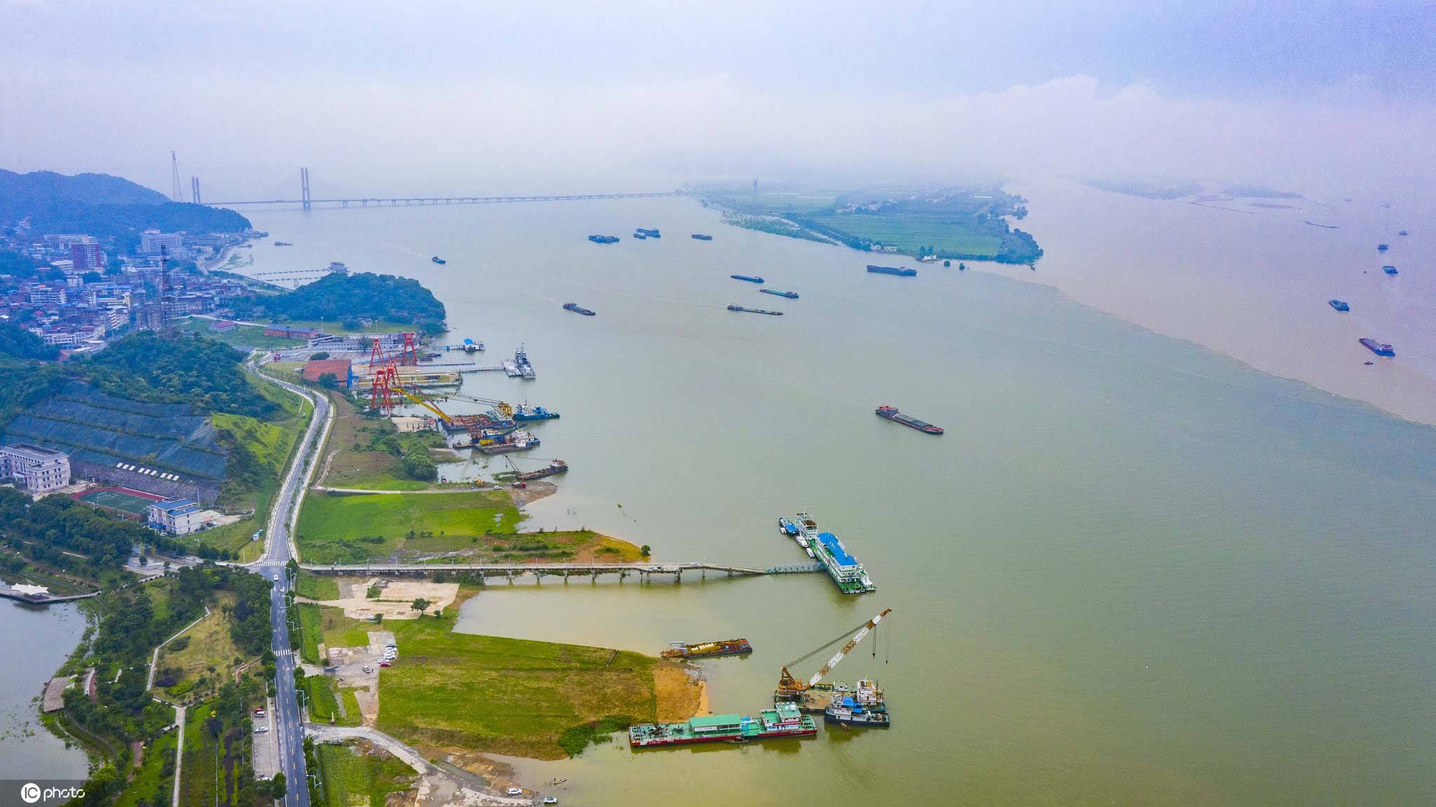 江西湖口长江湖口站超警戒水位 岸边树木被淹