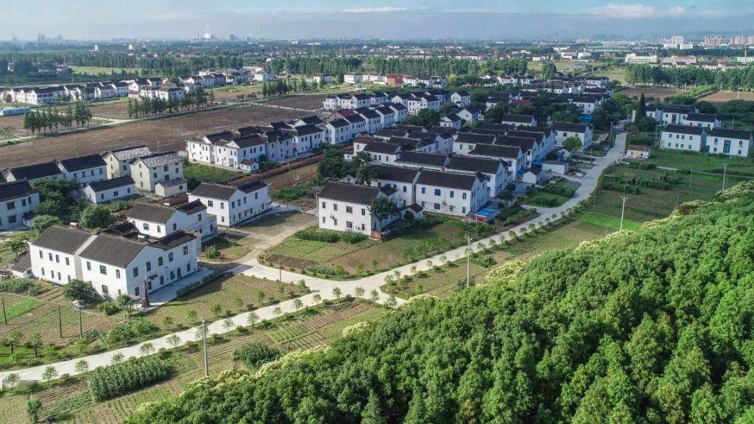 看海虞做好常熟长江最美岸线守护者