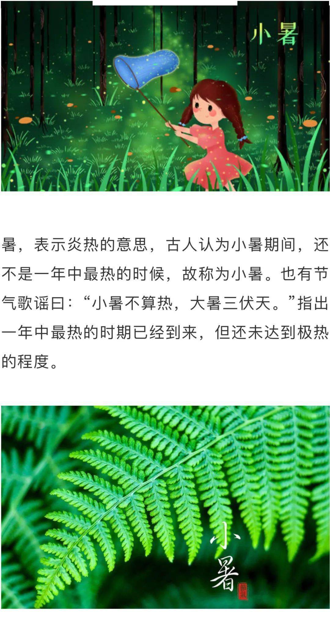 今日小暑这些开运习俗和养生知识你都知道吗