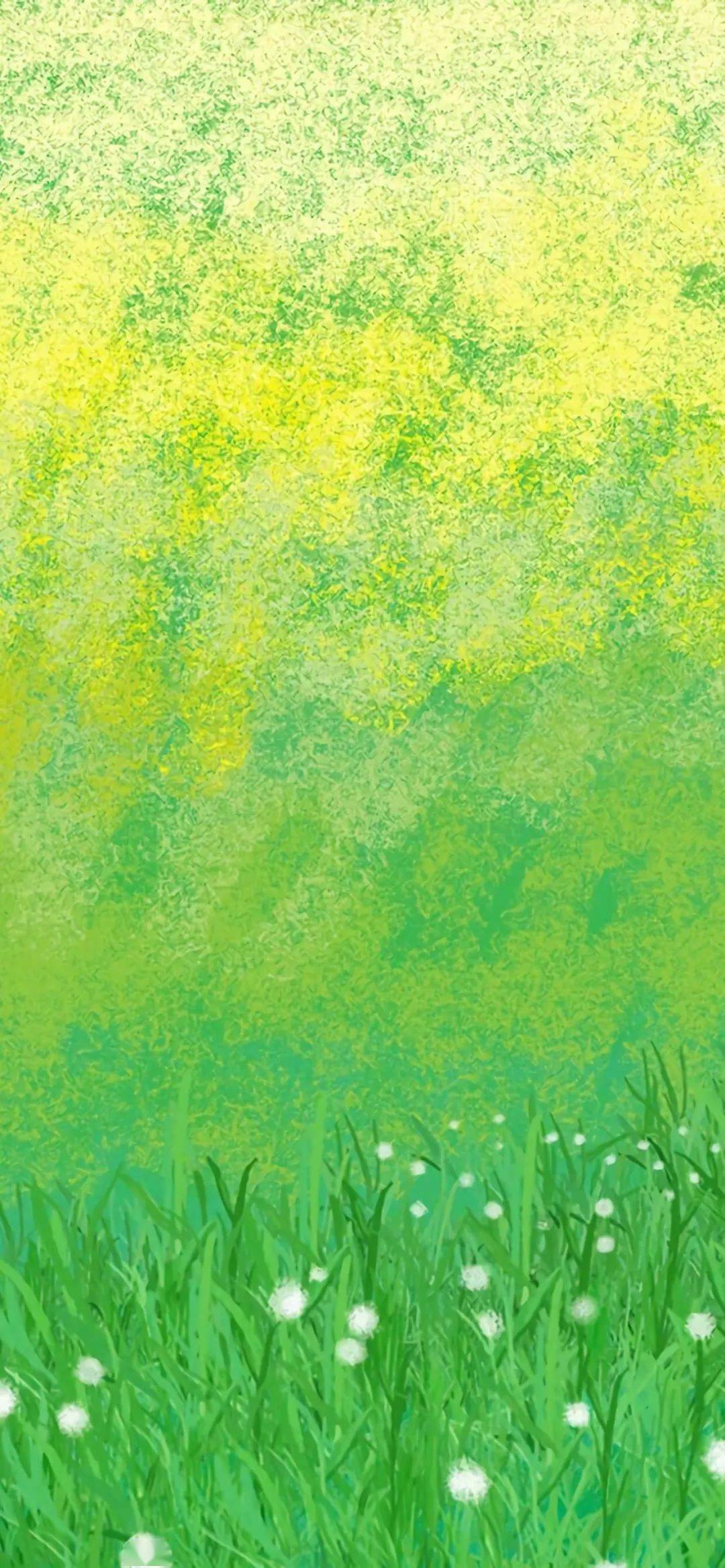 绿色壁纸蒲公英的花语无法停留的爱