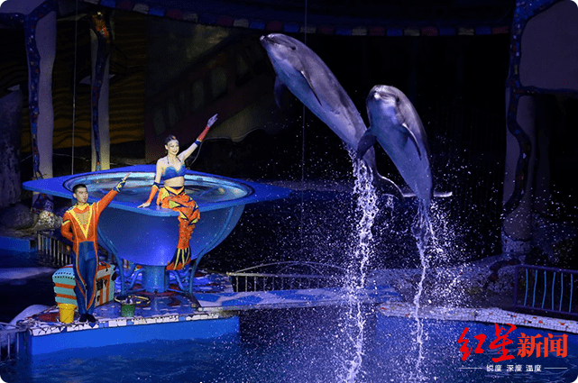 7月6日晚间,大连圣亚公告称,公司新任董事毛崴因涉嫌实施操作证券市场