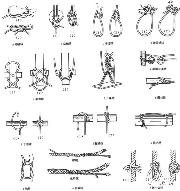 在大自然中探索的pbl研学之行