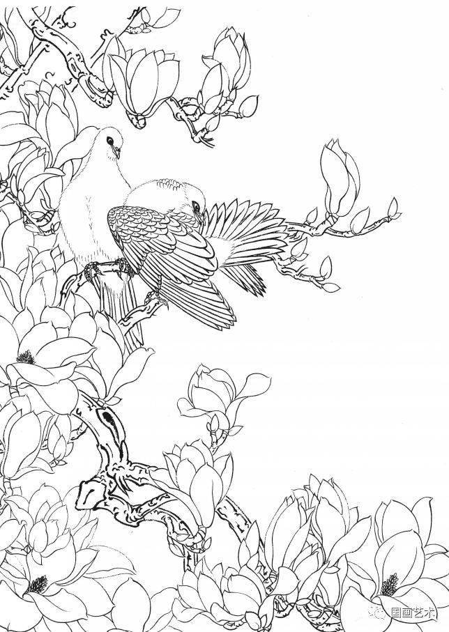 资料分享一组漂亮的工笔白描花鸟