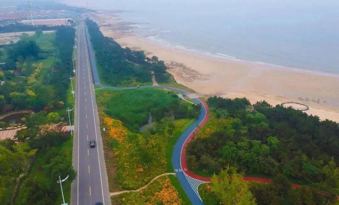 日照阳光海岸绿道刷屏媒体头条