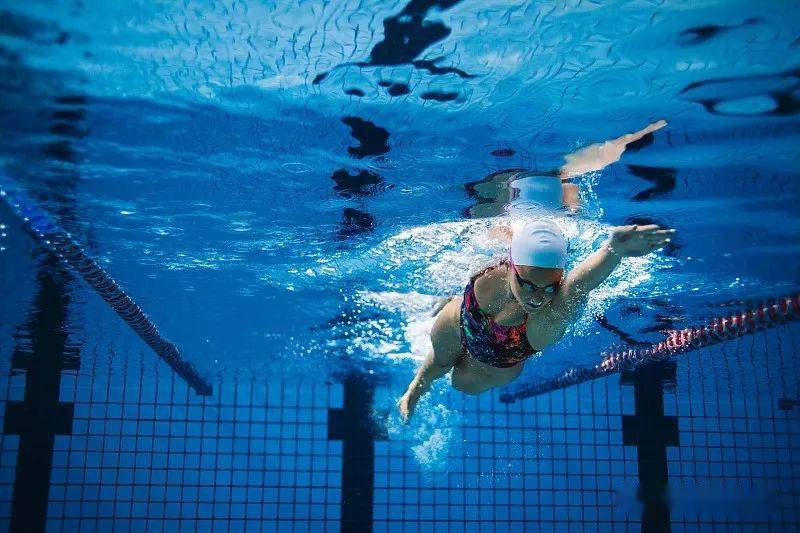 游泳前热身运动图片