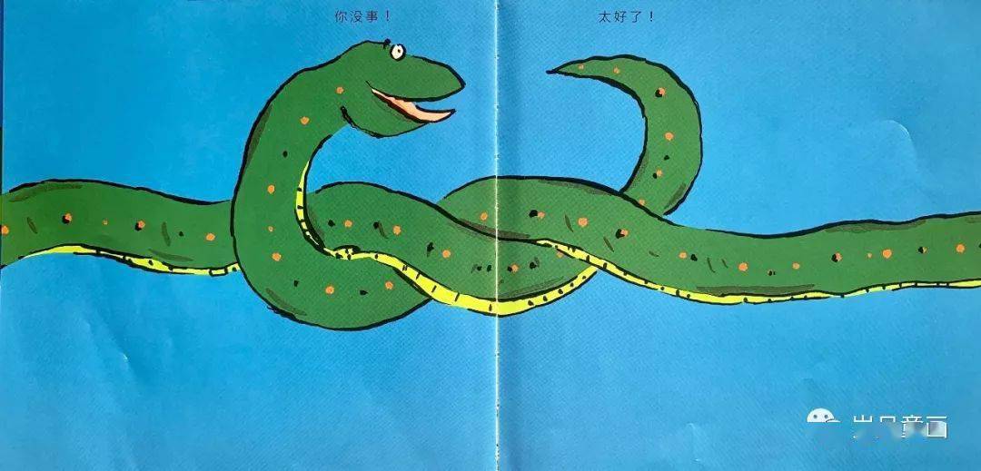 诺妈给娃读绘本の好长好长的蛇