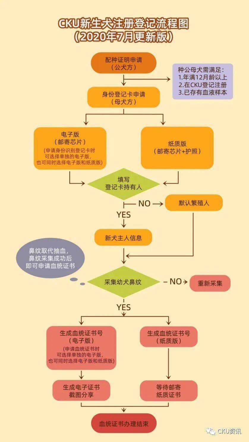 cku血统证书办理图片