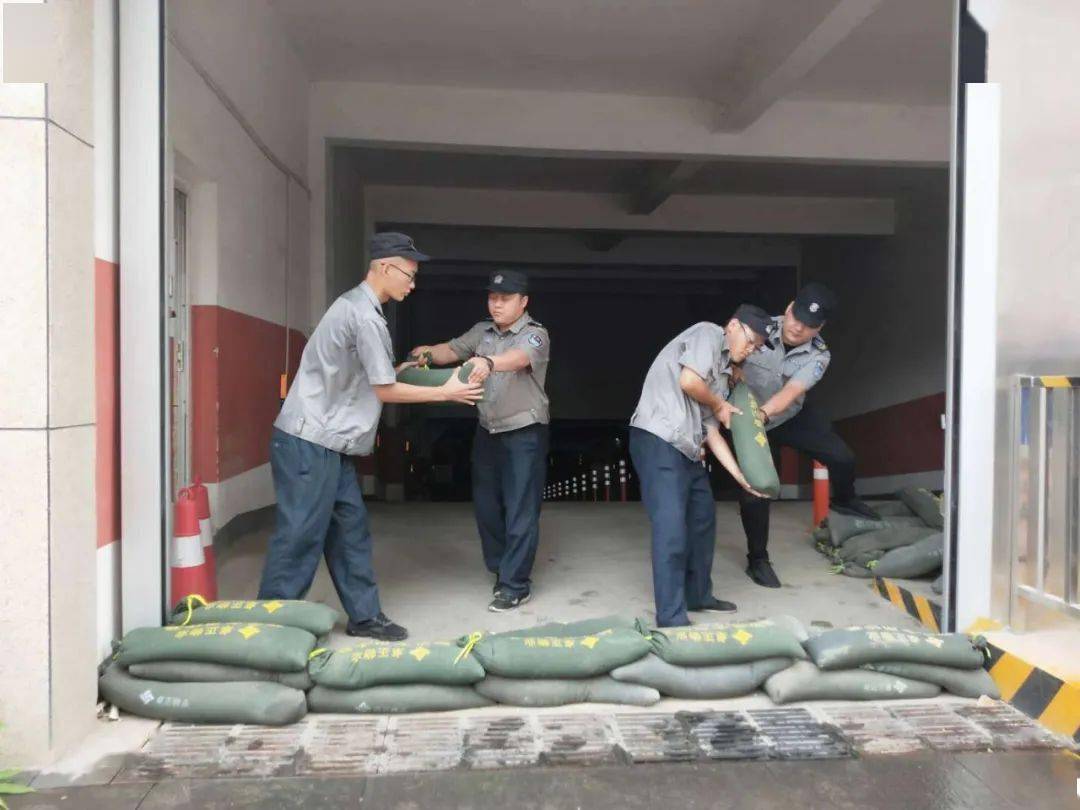 未雨綢繆卓正物業防汛工作進行中確保安全渡汛