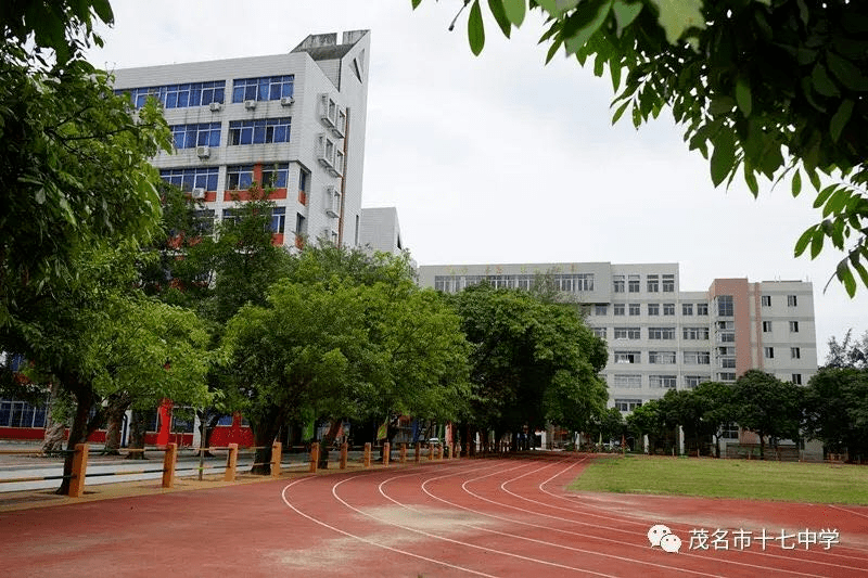 茂名市第十一小学图片