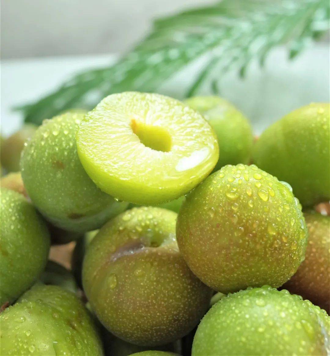 冰爽脆李,1 : 9 的黄金酸甜连着吃大半盆,不涩不苦,太好吃了!_李子