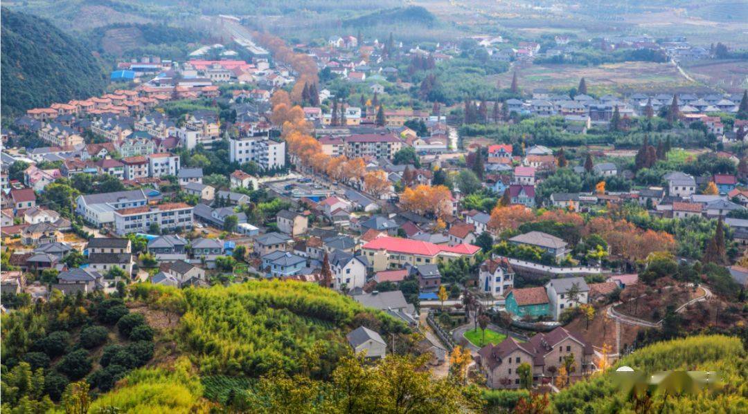 小镇资讯73莫干山镇度假区一周要闻