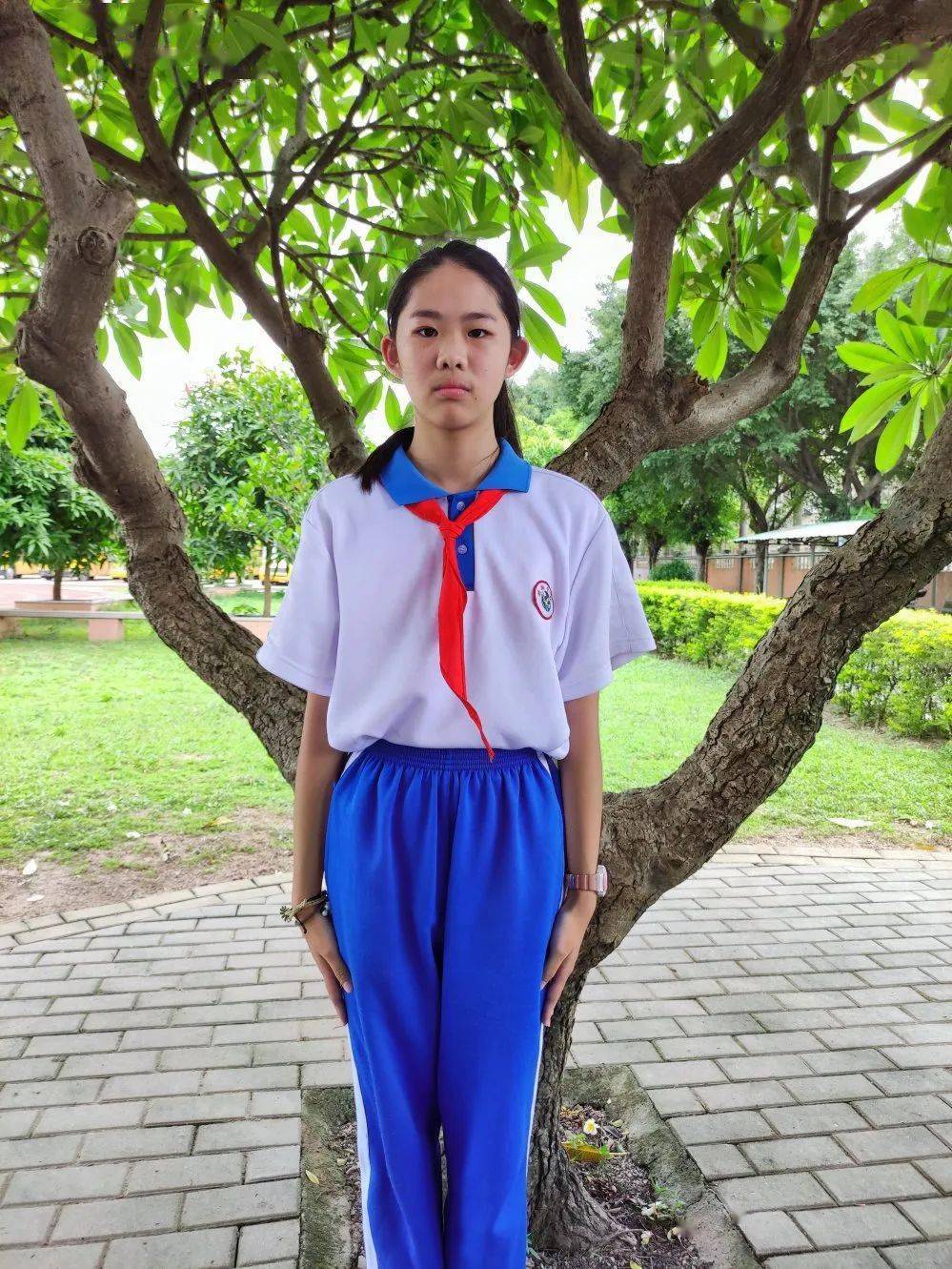 与红领巾同行展少先队风采