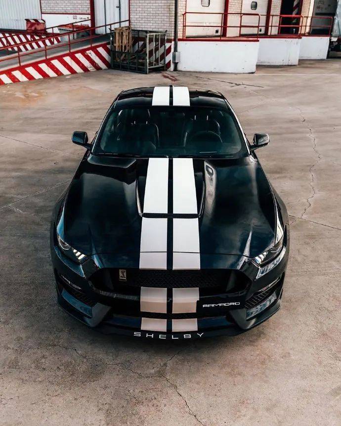 野马眼镜蛇gt350报价图片