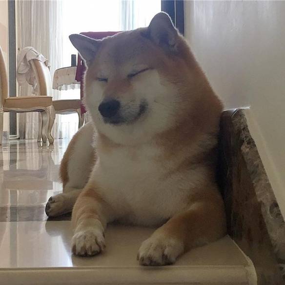 揭开网红废柴〔balltze〕超有戏的日常!