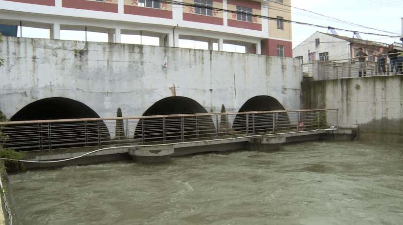 洪湖水位超警戒桐梓湖排水閘今早開閘洩洪