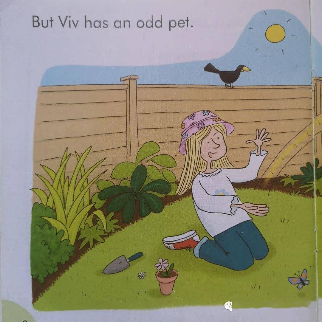 中小朗读者no37theoddpet朗读者一年级一班赵梓予