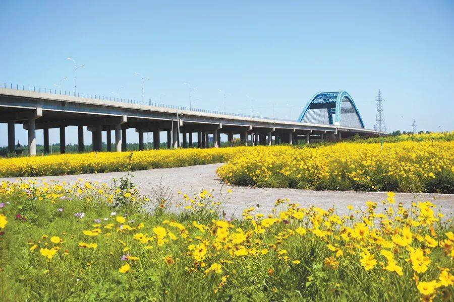 一,雲龍公園城區段滹沱河生態區公園及景觀節點熱心市民可通過電話