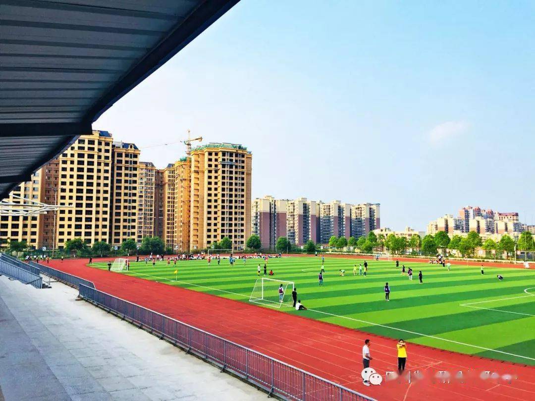 选择百年井中 圆梦一流大学_井研