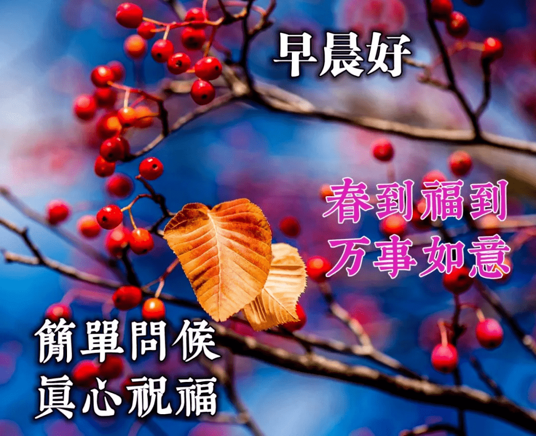 早上好溫馨問候祝福句子非常漂亮的古裝美女圖片帶早安祝福語