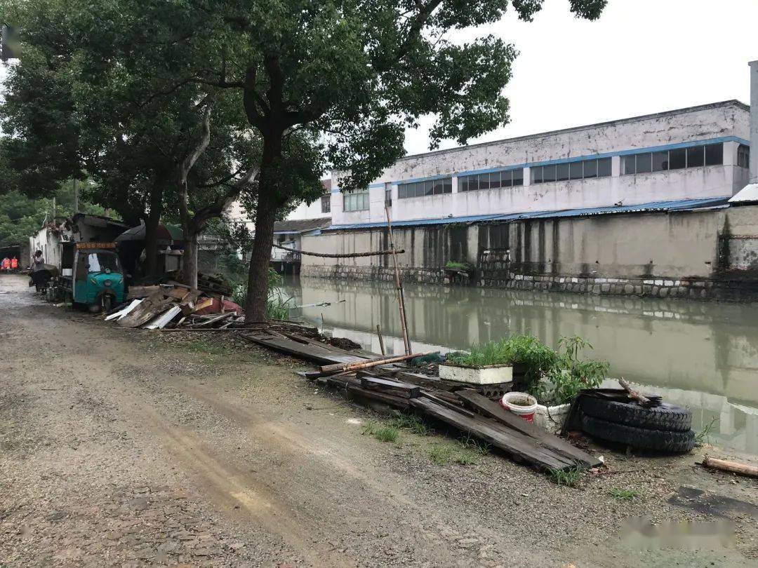 整治前此次清理活动主要对社区辖区内的卫生死角,建湖路道路两侧的