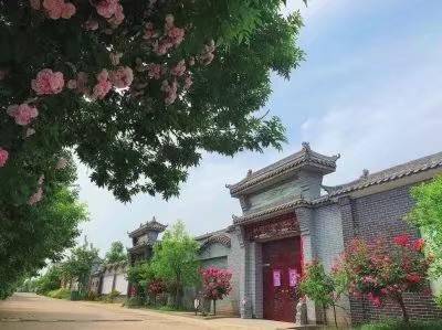 河南延津:石婆固镇"三变五合"看得见发展留得住乡愁_手机搜狐网