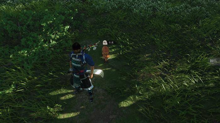 《对马岛之魂》第一时间评测:"取巧"成功的佳作