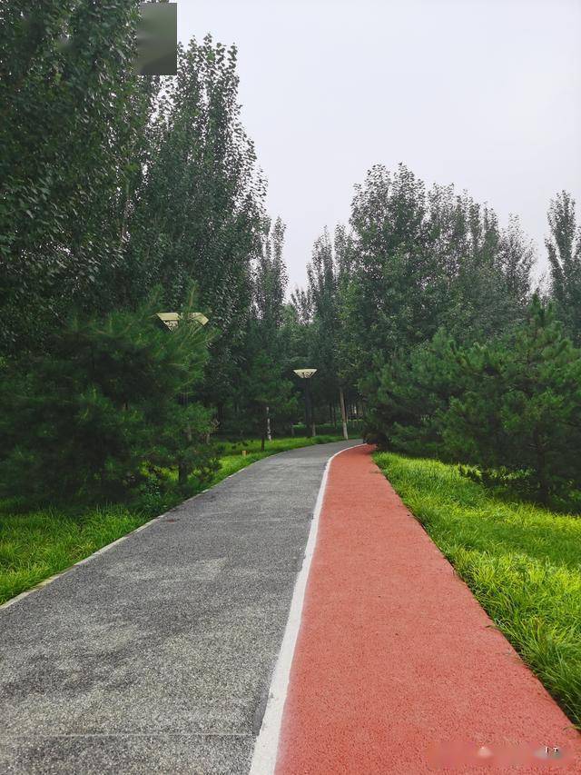 来广营新开的公园美成这样骑行者滑板高手欢迎来炫技