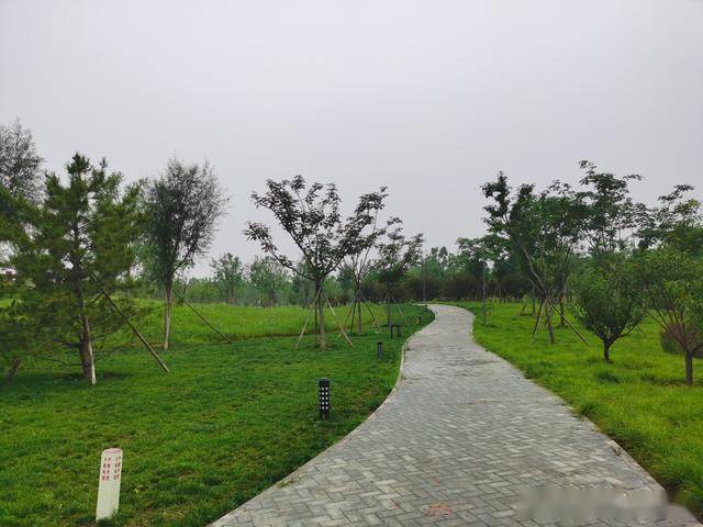 来广营新开的公园美成这样骑行者滑板高手欢迎来炫技