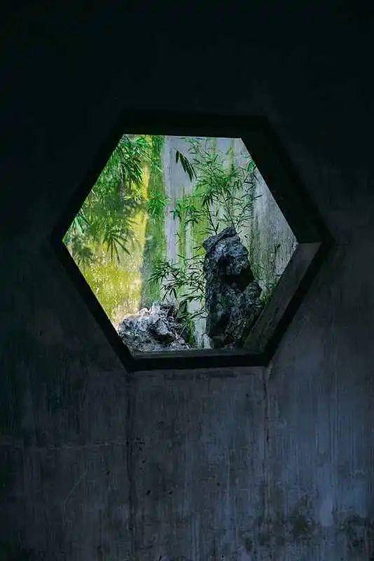 含蓄有致,意味深长隔景中日园林之比较总而言之,西方园林给我们的感觉