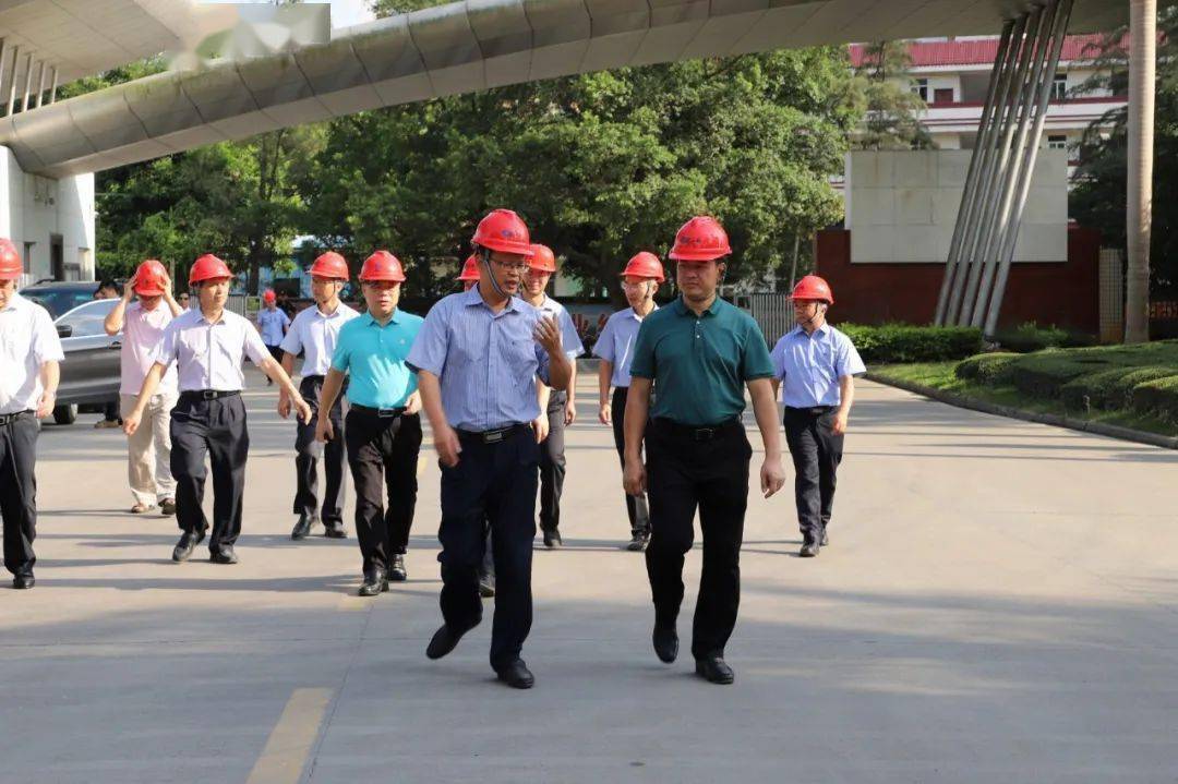 梧州市副市长何世恰到广西三威林产工业有限公司调研服务