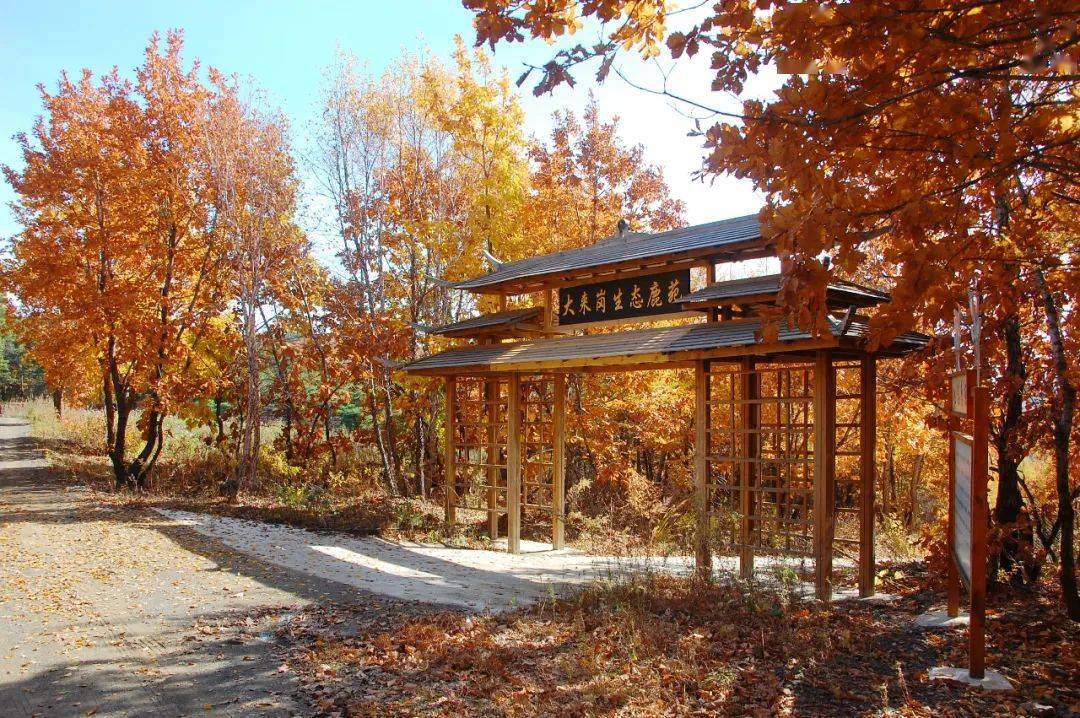 【旅游名区】邀请您为黑龙江达勒国家森林公园标志性建筑设计作品投票