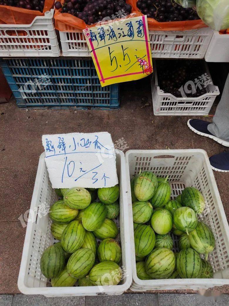 最近水果價格接近地板價?我們跑了4家水果店,有些10塊錢能買5斤