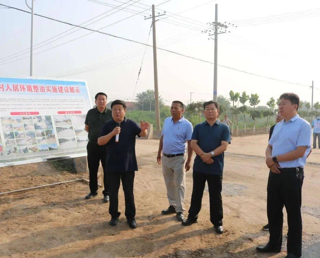 县委书记李国钧带队到马厂镇现场观摩农村人居环境整治工作