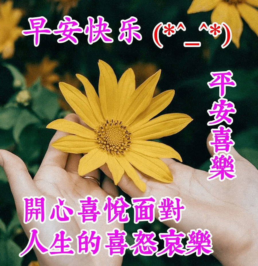 朋友早上好问候语大全,最漂亮的早安图片带祝福语