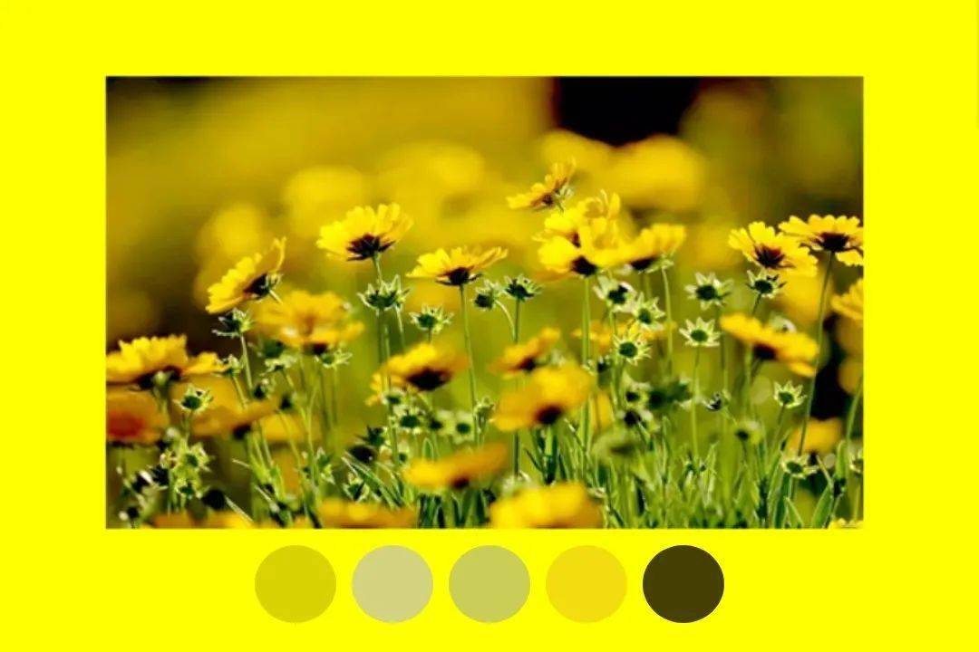 gold 金黄色r=255 g=215 b=0darkorange 深橘色r