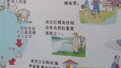 千万别当成普通感冒,而耽误了治疗时间;要主动到当地血吸虫病防治机构