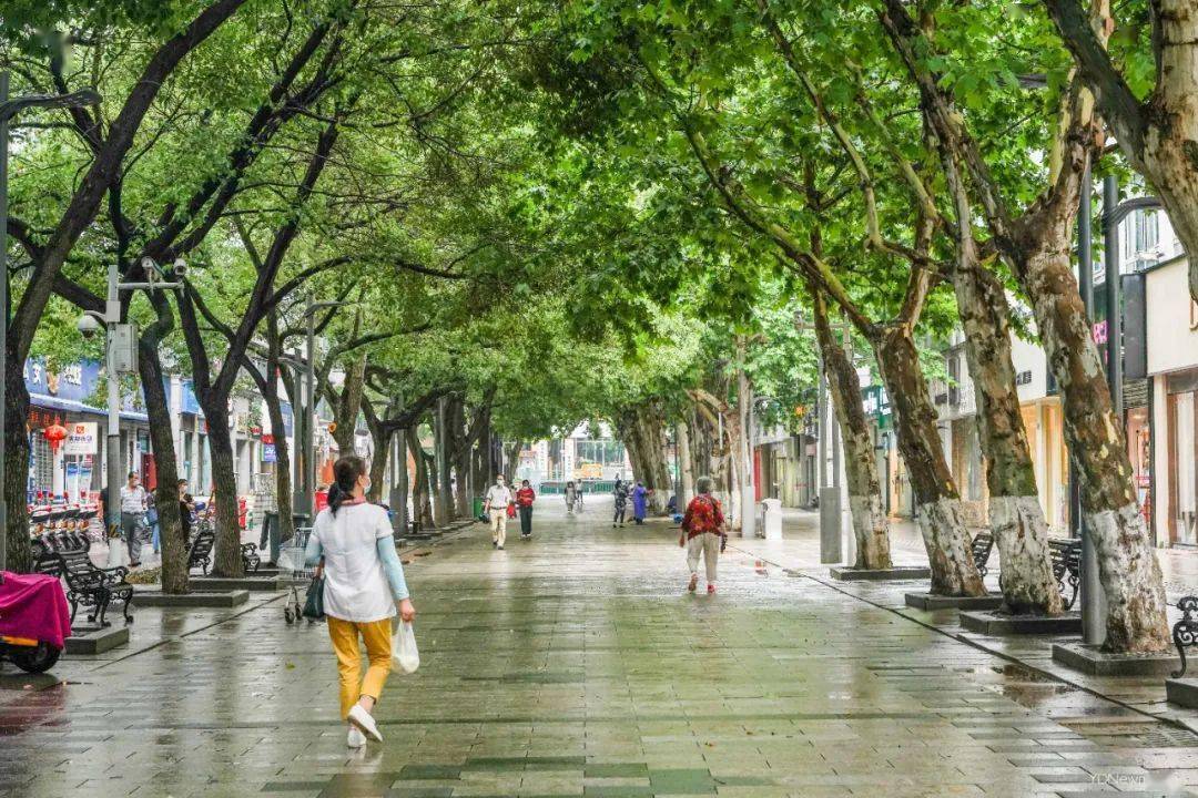 拐子,老水果湖了吧.